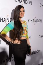 Neha Dhupia at Moet Hennesey launch of Chandon wines made now in India in Four Seasons, Mumbai on 19th Oct 2013